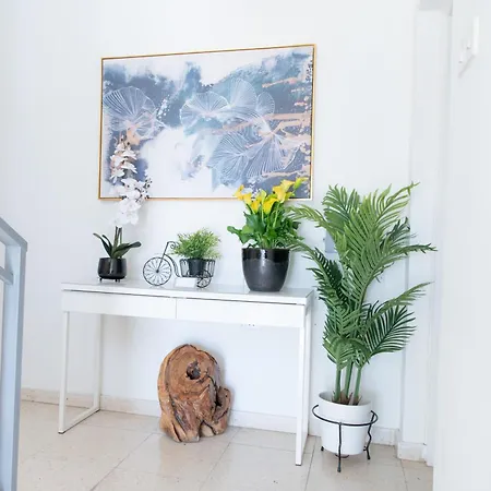 Themis Apartmán Larnaca