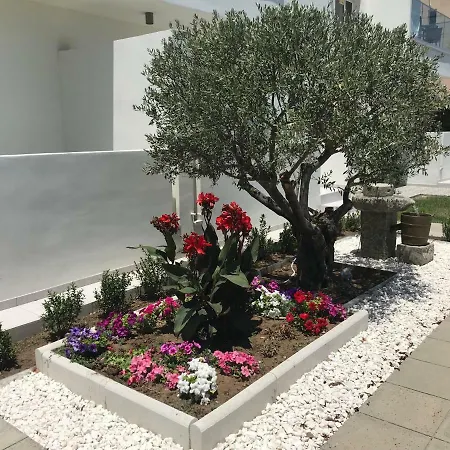 Themis Apartmán Larnaca