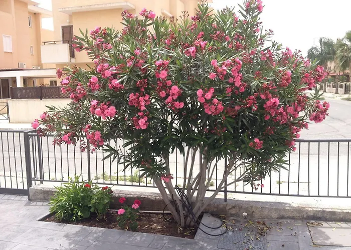 Themis Apartamento Lárnaca